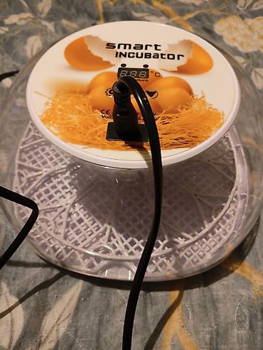 Çin, Tam avtomat
