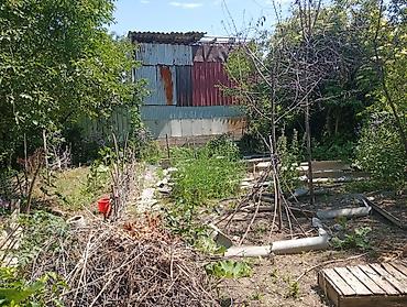 Продажа коттеджей и домов: Продаем дом 🏠 с двумя участками земли. Две красные книги. ✓Торг  — 8