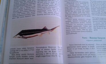 Ensiklopediyalar: Müxtəlif kitablar satılır. Biri 40 manat. "Nərəkimilər - dinozavrların -da lalafo.az — 8 Ensiklopediyalar: Müxtəlif kitablar satılır. Biri 40 manat. "Nərəkimilər - dinozavrların — 8