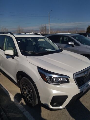 машина до 250000: Subaru Forester: 2019 г., 2.5 л, Автомат, Бензин, Кроссовер