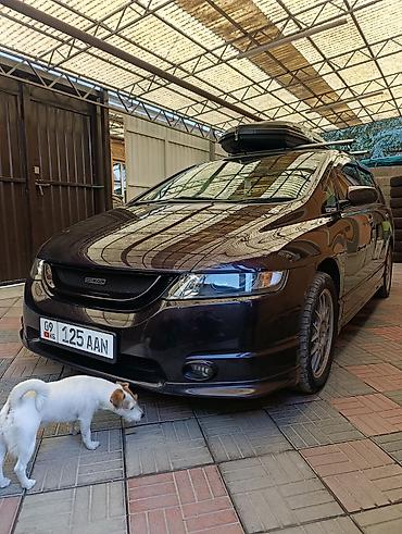 byd d1: Honda Odyssey: 2005 г., 2.4 л, Автомат, Бензин, Минивэн — 1