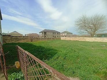 bayilda kirayə evler: 8 sot, Tikinti, Mülkiyyətçi, Kupça (Çıxarış) — 5