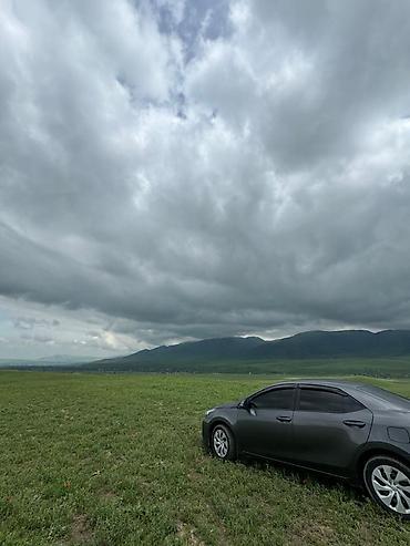 Toyota: Toyota Corolla: 2014 г., 1.6 л, Автомат, Бензин, Седан — 13