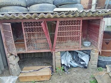Товары и оборудование для с/х животных: Продаю кролятник