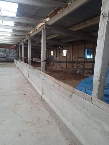 Продажа участков: 194 соток, Для бизнеса, Красная книга — 15