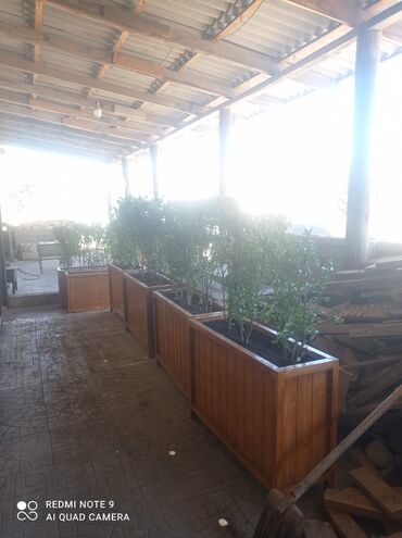 Bitkilər üçün dibçəklər: Dibçək güldanlar. Dipçəklər bir başa sexdən.Sex qiymətinə. ♦️Endrim — 8