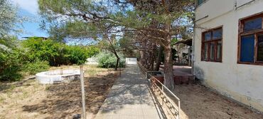 Həyət evləri və villaların satışı: Sahəsi geniş, yaşıllaşdırılmış həyəti olan bina. Həyətdə ağaclar -da lalafo.az — 3 Həyət evləri və villaların satışı: Sahəsi geniş, yaşıllaşdırılmış həyəti olan bina. Həyətdə ağaclar — 3