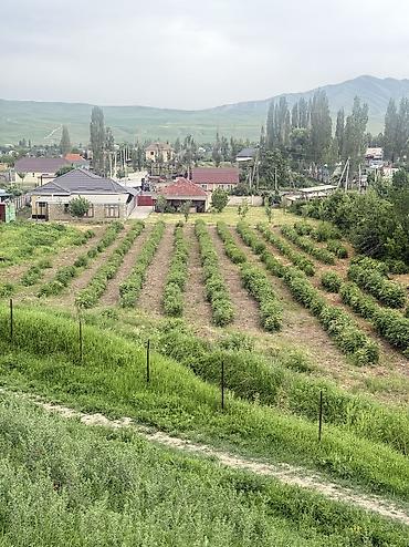 Продажа участков: 18 соток, Для строительства, Красная книга, Тех паспорт — 4