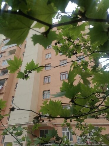 binə mehriban qonşular: Bakı, Suraxanı, 2 otaqlı, Köhnə tikili, 59 kv. m