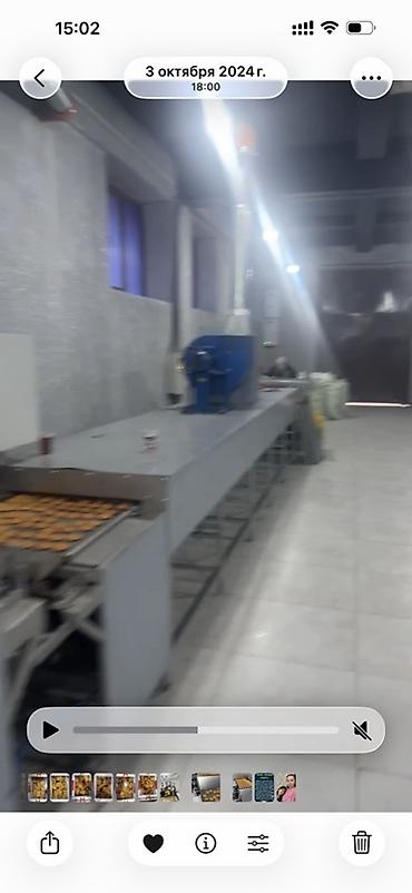 Производство кондитерских изделий: Туннельная печь для выпечки печенья/кондитерских изделий Описание: - — 1