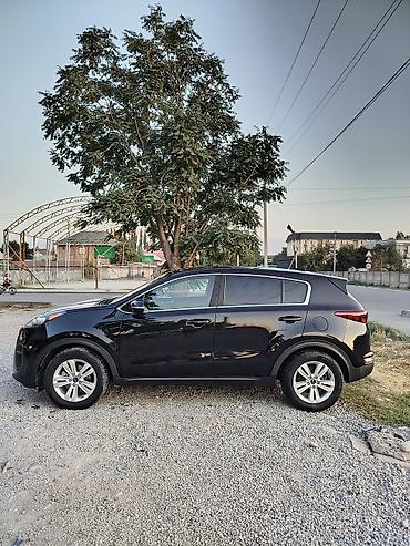 2017: Kia Sportage: 2017 г., Кроссовер — 3