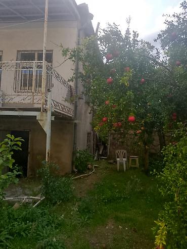 quba torpag: 15 otaq, 600 kv. m, Kredit yoxdur, Təmirsiz — 1