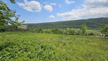 Torpaq sahələrinin satışı: 12 sot, Biznes üçün, Mülkiyyətçi, Kupça (Çıxarış) — 7