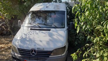 Mercedes-Benz: Mercedes-Benz Sprinter: 2002 г., 2.2 л, Механика, Дизель, Бус