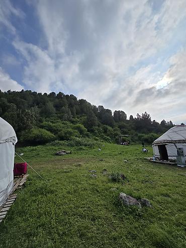 конный шлем: Аренда юрты, Каркас Деревянный, 100 баш, Посуда, С полом, Самовар — 2