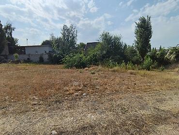 Здравствуйте! Продаётся дом с участком 19 соток в экологически чистом