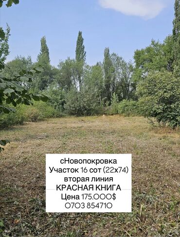 участок вдоль трассы под бизнес: 16 соток, Бизнес үчүн, Кызыл китеп, Техпаспорт, Сатып алуу-сатуу келишими