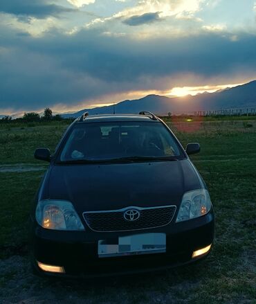 марк машина: Toyota Corolla: 2003 г., 2 л, Механика, Дизель, Универсал