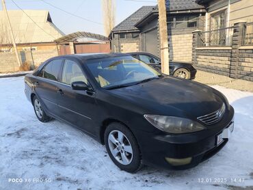 таёта раф 4: Toyota Camry: 2003 г., 2.4 л, Автомат, Бензин, Седан