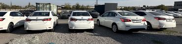 toyota corolla 2020: Toyota Corolla: 2020 г., 1.6 л, Автомат, Бензин