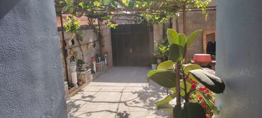 Həyət evləri və villaların satışı: Bakıxanov qəs. 4 otaqlı, 120 kv. m, Kredit yoxdur, Yeni təmirli -da lalafo.az — 18 Həyət evləri və villaların satışı: Bakıxanov qəs. 4 otaqlı, 120 kv. m, Kredit yoxdur, Yeni təmirli — 18