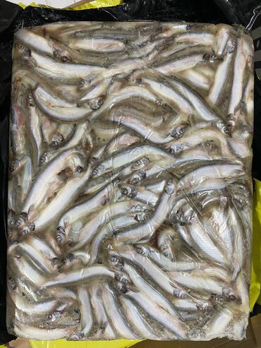 Рыба и морепродукты: Замороженный, До 1 кг, Бесплатная доставка, Платная доставка, Самовывоз — 2