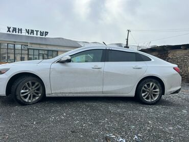 Chevrolet: Chevrolet Malibu: 2017 г., 1.5 л, Автомат, Бензин