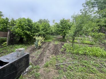 Torpaq sahələrinin satışı: 7 sot, Tikinti, Mülkiyyətçi, Kupça (Çıxarış) -da lalafo.az — 13 Torpaq sahələrinin satışı: 7 sot, Tikinti, Mülkiyyətçi, Kupça (Çıxarış) — 13