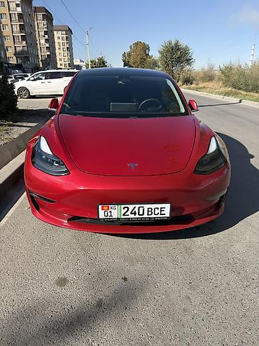 range rover 2025: Tesla Model 3: 2020 г. — 1