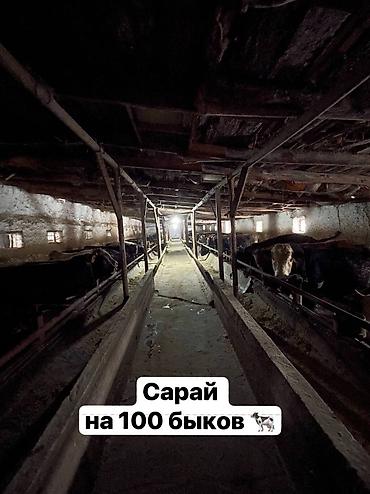 Продажа участков: 1000 соток, Для бизнеса, Красная книга — 6