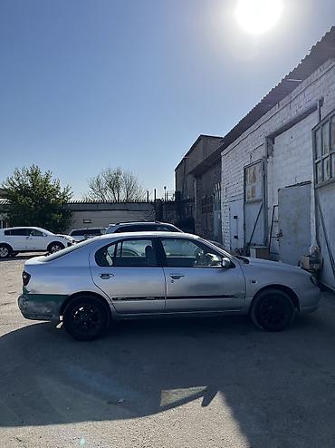 нисан примера п11: Nissan Primera: 2001 г., 1.8 л, Механика, Бензин, Седан — 1