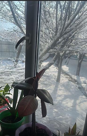 Продажа коттеджей и домов: Продаю дом в селе Кой Таш — 16