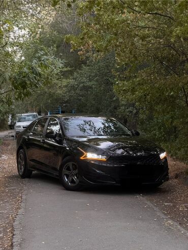 дополнительная фара: Kia K5: 2021 г., 1.6 л, Автомат, Бензин, Седан
