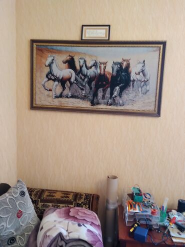 at sekilleri: Atlar resmi