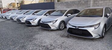 стекло на фит: Toyota Corolla: 2020 г., 1.8 л, Вариатор, Гибрид, Седан