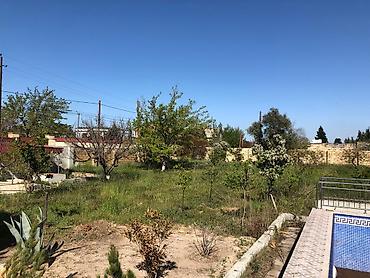 Bağ evlərinin kirayəsi: Goradil baglari 6 otaq 2 mertebe her mertebede terras Hovuz daim -da lalafo.az — 12 Bağ evlərinin kirayəsi: Goradil baglari 6 otaq 2 mertebe her mertebede terras Hovuz daim — 12