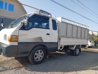 декоративные кролик: Вывоз мусора вывоз мусора вывоз мусора вывоз мусора вывоз мусора вывоз