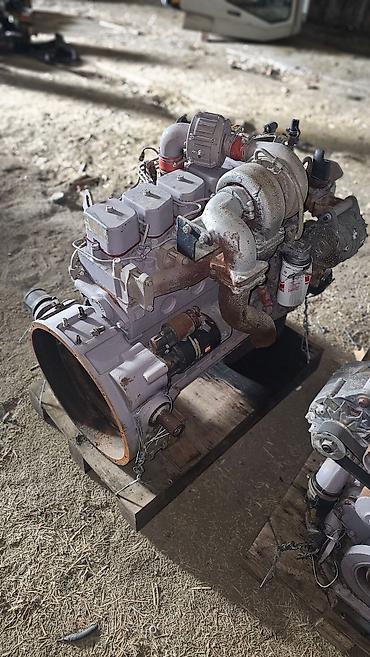 Двигатели, моторы и ГБЦ: Продам двигателя семейства Cummins на мтз,комбайн, трактор — 6
