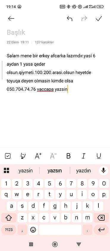 kiçik heyvanlar: Alman çoban iti, 6 ay, Erkək — 1