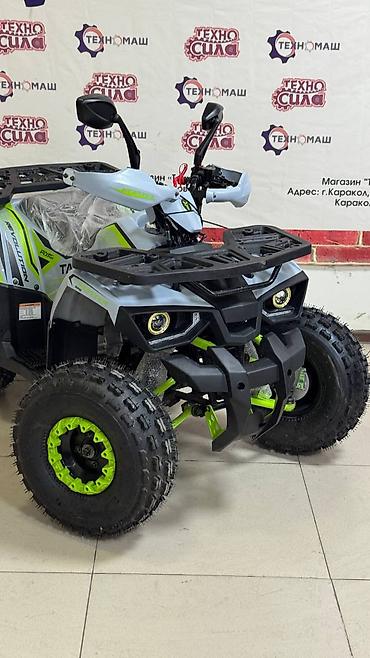 Квадроциклы: TAO MOTOR HUNTER 125 — современный подростковый квадроцикл для — 12