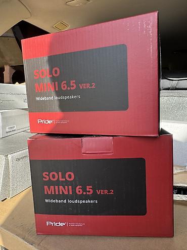 solo: Прайд! Громкие Динамики серии Solo mini 6.5 v2 . Эстрада от PRIDE — 2