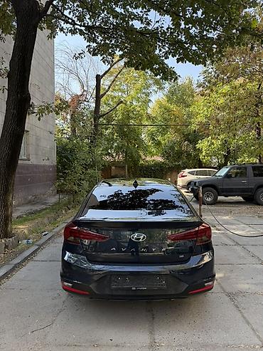 Hyundai: Hyundai Avante: 2019 г., 1.6 л, Автомат, Бензин, Седан — 6