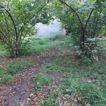 Torpaq sahələrinin satışı: 12 sot, Tikinti, Mülkiyyətçi, Kupça (Çıxarış) — 12