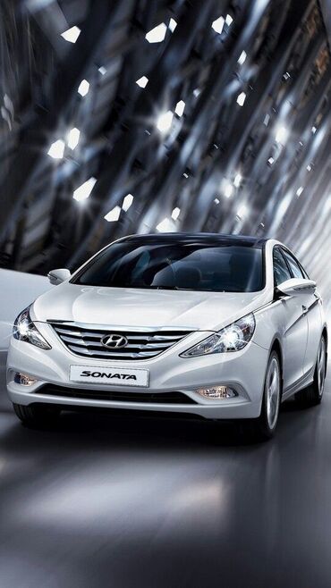 Hyundai: Hyundai Sonata: 2010 г., 2 л, Типтроник, Бензин, Универсал