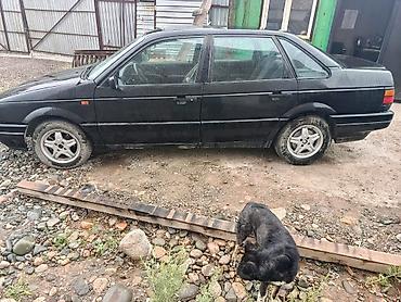пороги passat b3: Volkswagen Passat: 1991 г., Механика, Седан — 3