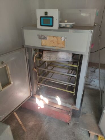 inqibatorlarin qiymeti: 2eded inkubator 352 ededlik 300 azn 2nci 400 ededlik radiozavod