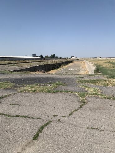 сдаю дом с ленинское: 165 соток, Айыл чарба үчүн, Кызыл китеп, Сатып алуу-сатуу келишими