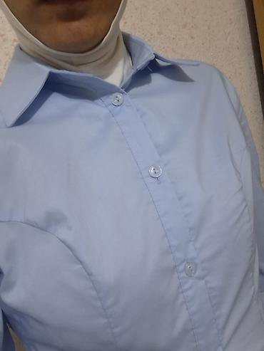 light blue: Блузка, Классическая модель, Хлопок, Однотонный — 1