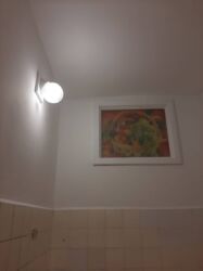 Штукатурка, шпаклевка: Шпаклевка стен, Шпаклевка потолков | Акриловая вода эмульсия 3-5 лет опыта — 12