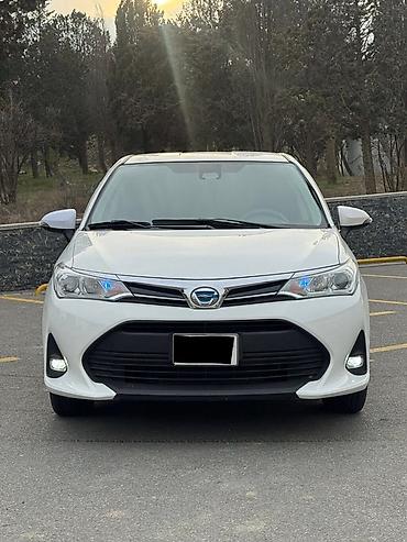 ford focus hatchback: Masın ideal veziyetdedi hecbir prablemi yoxdu 1500 ilkin ödeniş 30 — 1